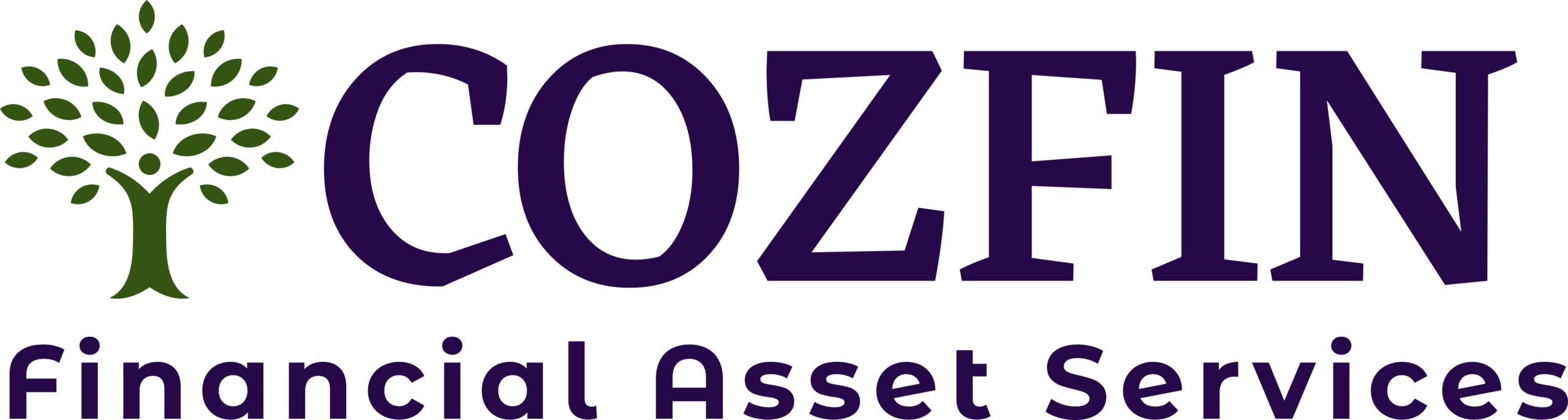 COZFIN FINANCIAL ASSET SERVICES